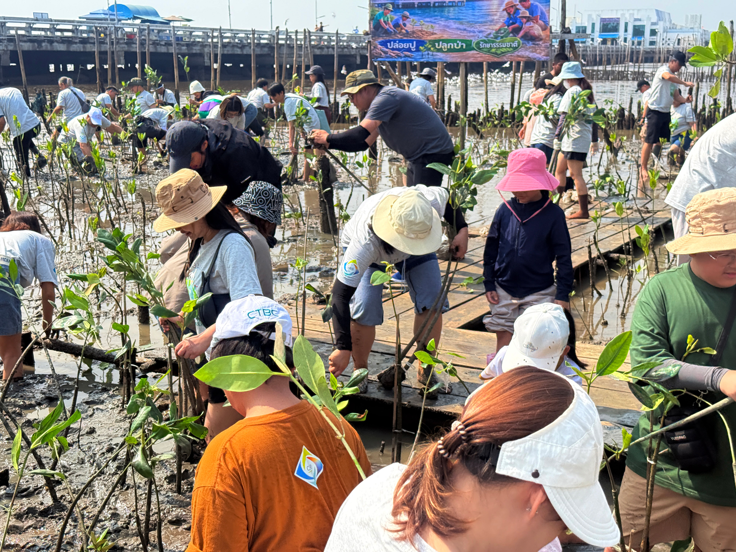 CSR-Mangrove-planting-2026-03.jpg