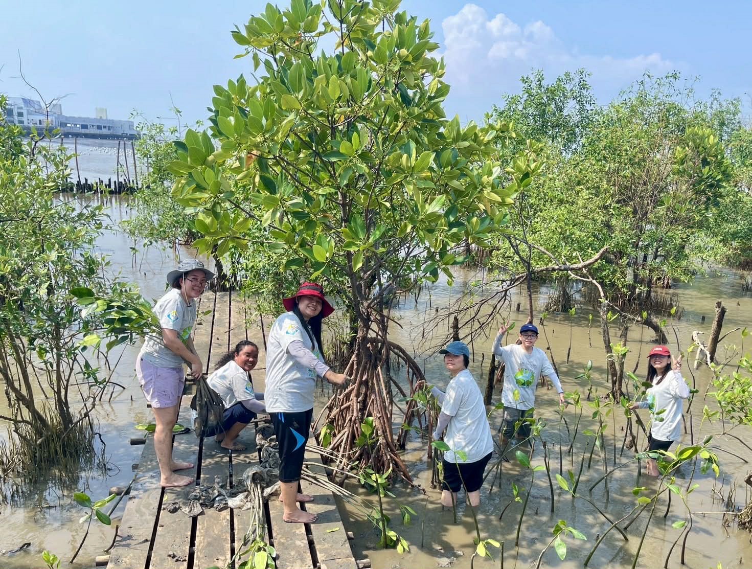 CSR-Mangrove-planting-2026-04.jpg